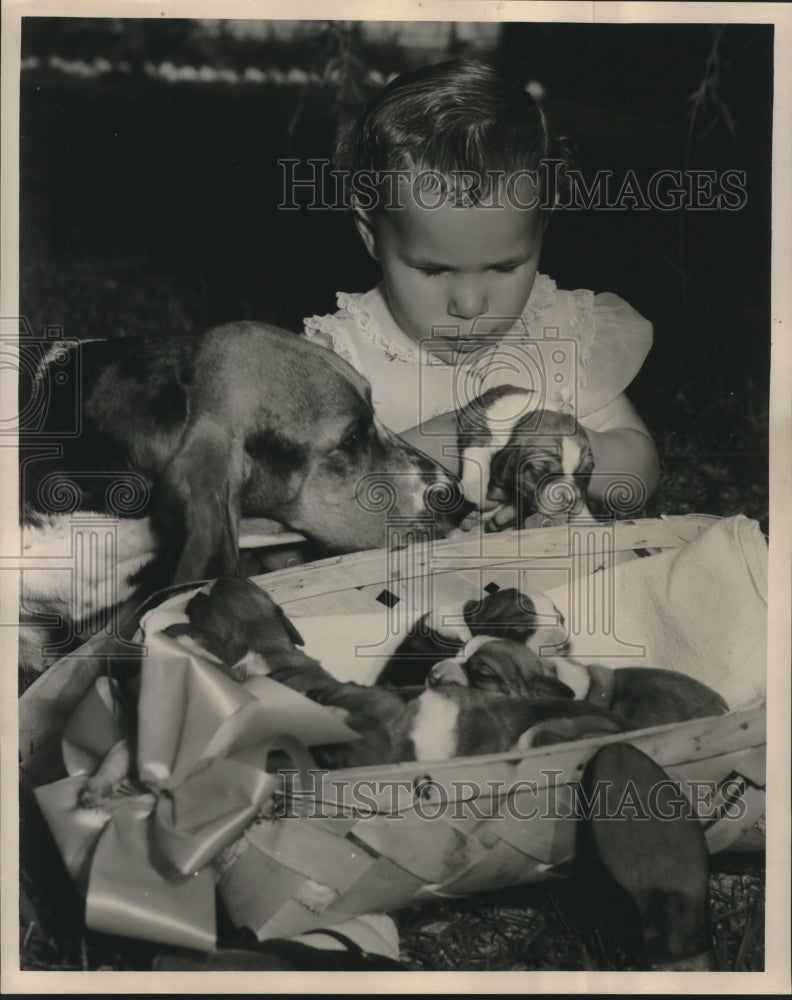 1962 Press Photo Kathy Sunseri with Basset Hound Mother Cricket and Puppies-Historic Images