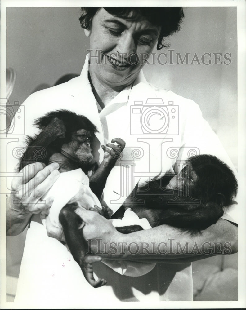 1968 Woman carrying Two Monkey Babies - Historic Images