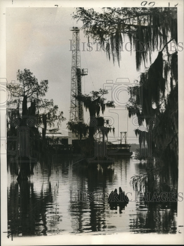 1960 Press Photo Derrick rises from wilds of Lake Verret, as many rigs as voters-Historic Images