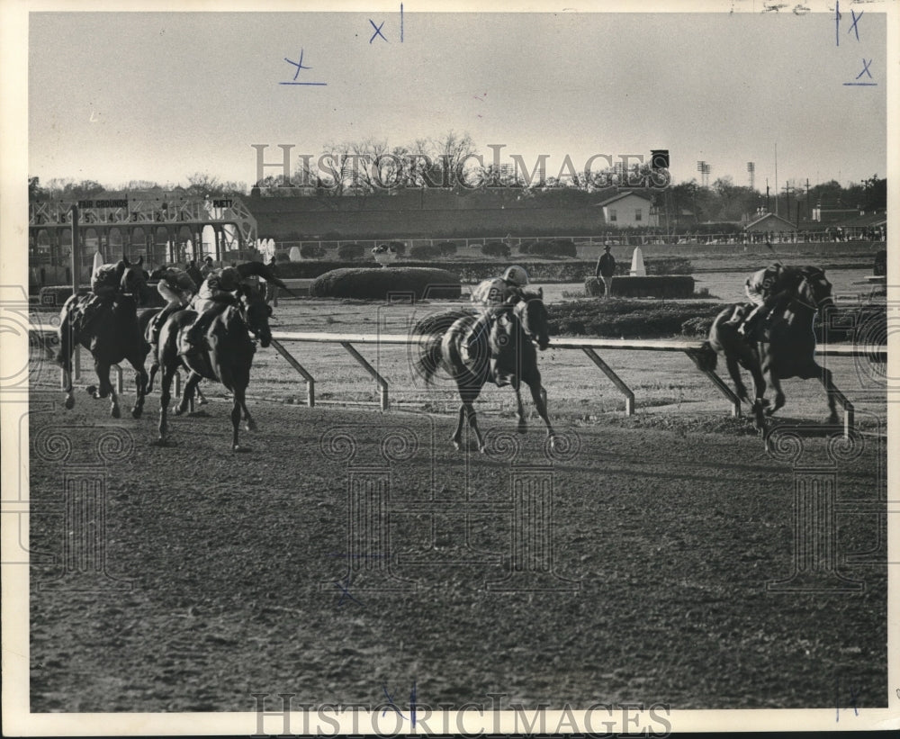 1979 Press Photo Foolish Prince (8) wins Le Comte Handicap at the Fair Grounds - Historic Images