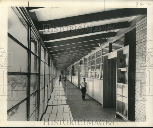 1951 Press Photo New Orleans McDonogh Elementary School