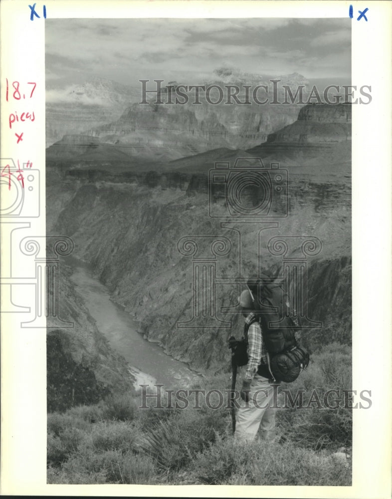 1990 Press Photo Hiker looking down at Colorado River in the Grand Canyon-Historic Images