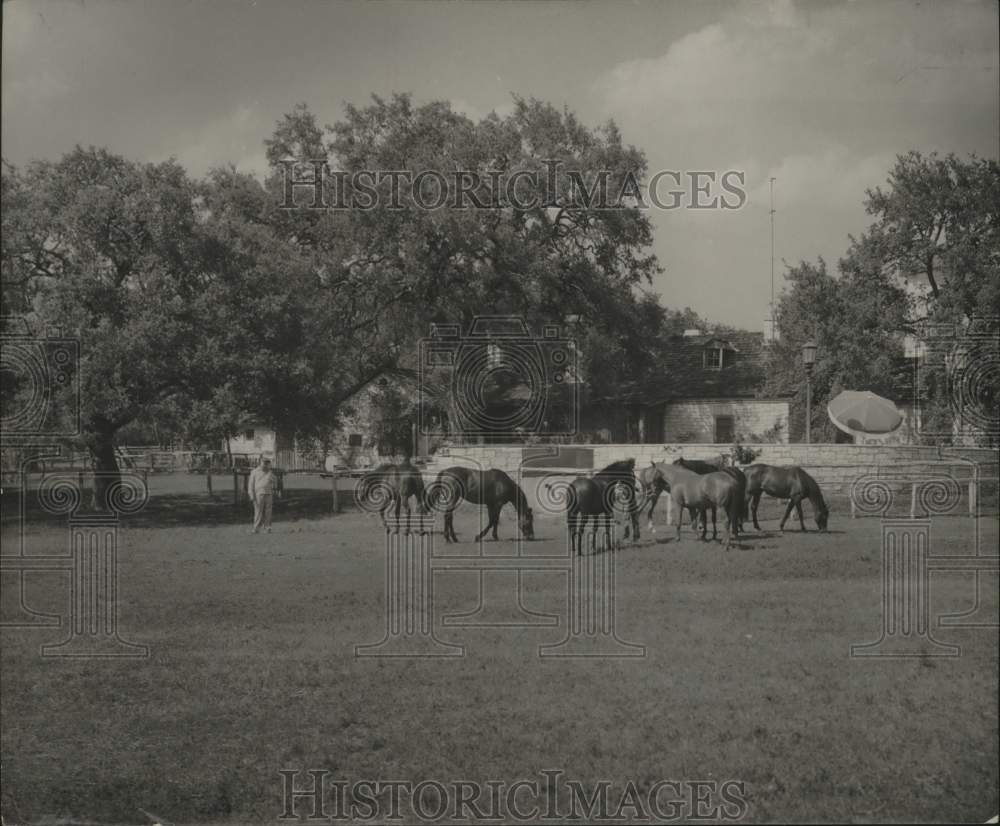 1955 Horse Breeding Farm at Kenmore, Former Home of Kendalls - Historic Images