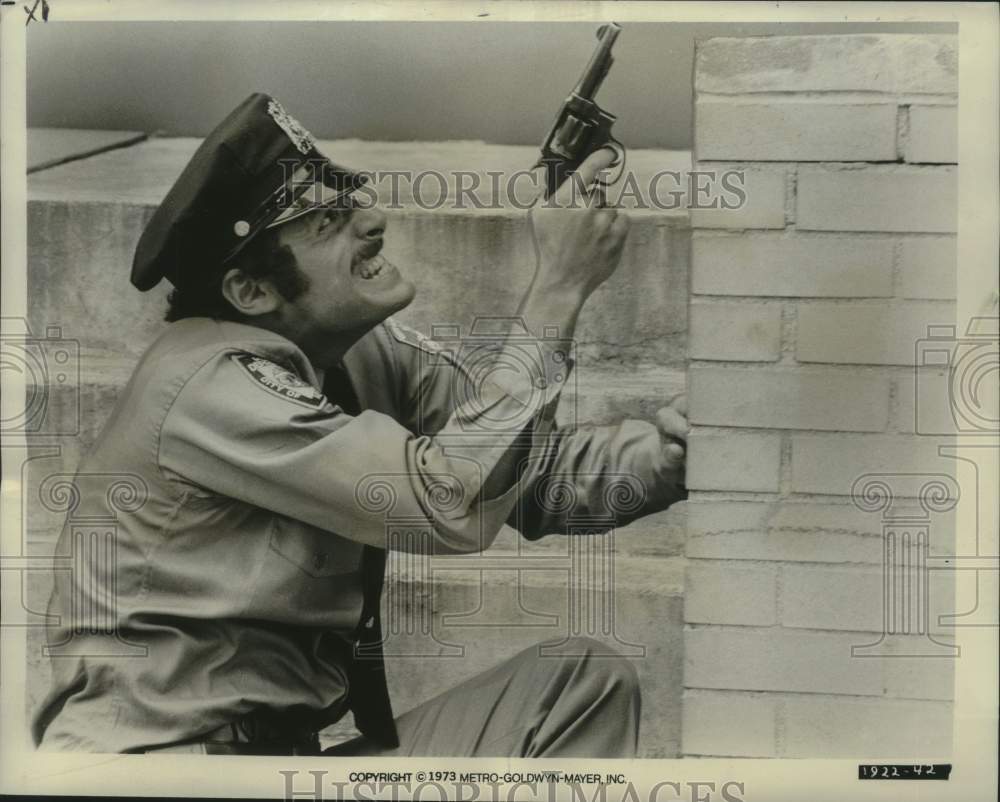 1973 Press Photo Actor Ron Leibman in a fight scene from "The Super Cops" - Historic Images