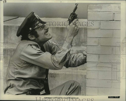1973 Press Photo Actor Ron Leibman in a fight scene from "The Super Cops" - Historic Images