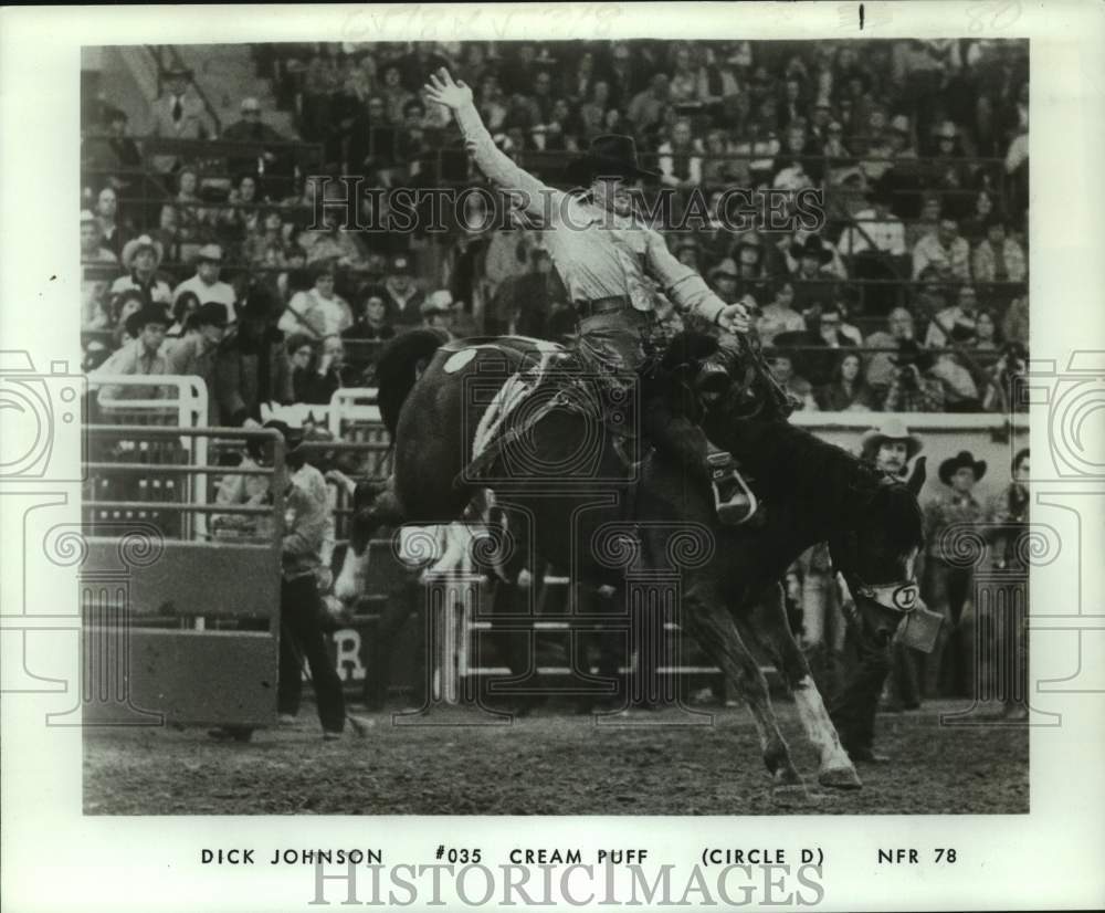 1980 Press Photo Rodeo star Dick Johnson rides &quot;Cream Puff&quot; during a show-Historic Images