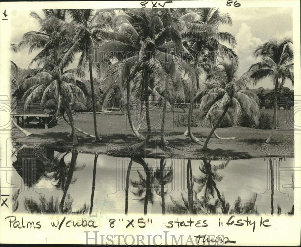 1978 Press Photo Lush tropical vegetation is unchanged by Castro&#39;s regime. - Historic Images