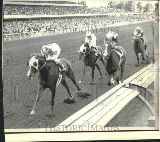 1973 Press Photo Pallisima wins third place in Milady Handicap at Hollywood Park - Historic Images