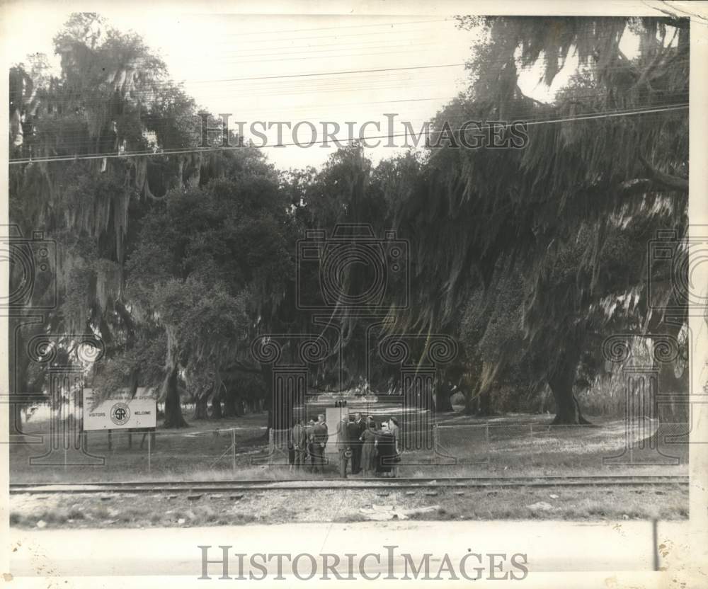 1952 Historic trees loom over group around monument after cememony.-Historic Images