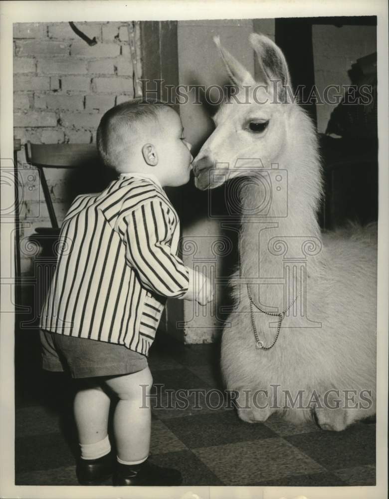 1959 Press Photo Toddler Eric Schultz kisses Llinda Llama on set in New York - Historic Images