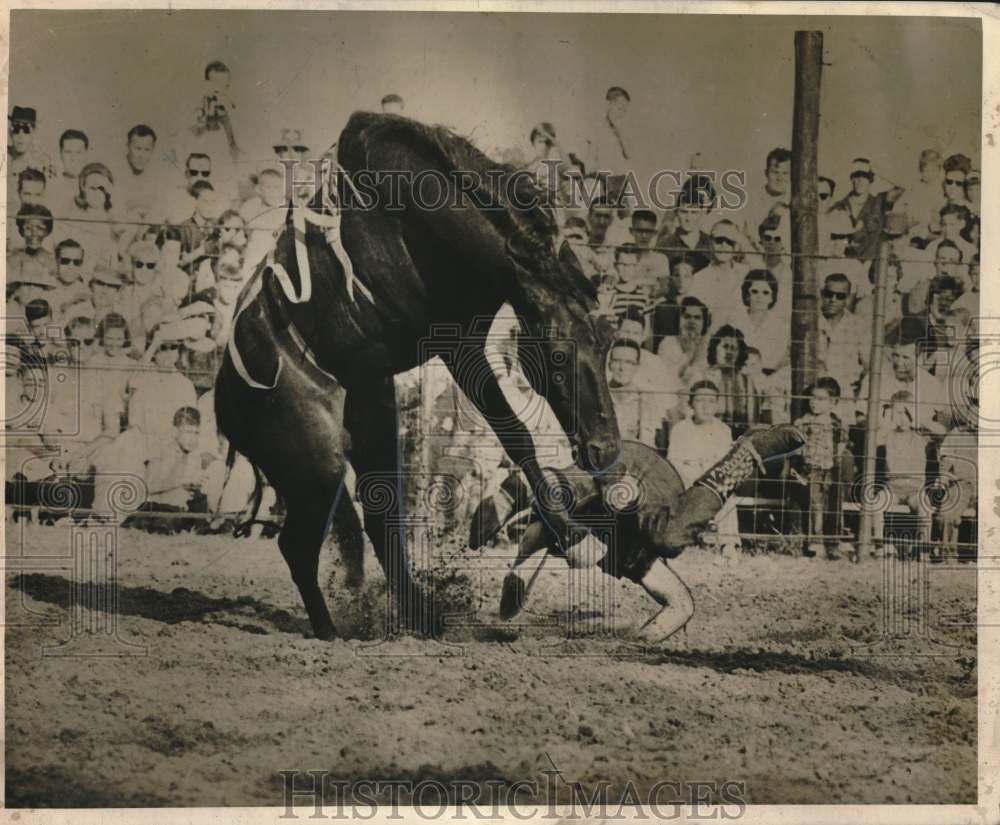 1964 Horse Pee Wee Throws Rider in New Orleans Rodeo Show-Historic Images