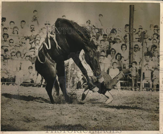 1964 Horse Pee Wee Throws Rider in New Orleans Rodeo Show-Historic Images