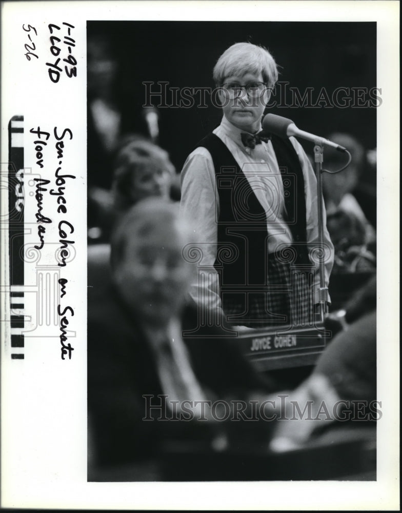 1993 Press Photo Sen Joyce Cohen deliberating on the Senate floor - ora10435 - Historic Images