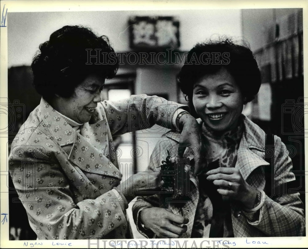1981 Press Photo Ngan Louie and Kung Loau prepare for Chinese New Year- Historic Images