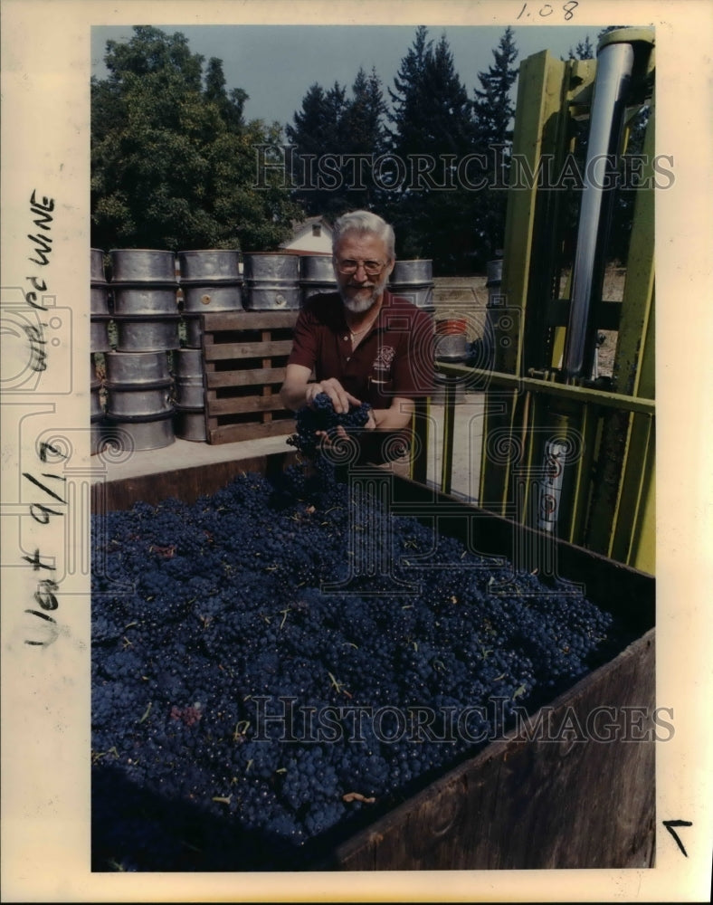 1987 Press Photo Winemaker Ron Vuylsteke Examines Pinot Noir Grapes - orb14903- Historic Images