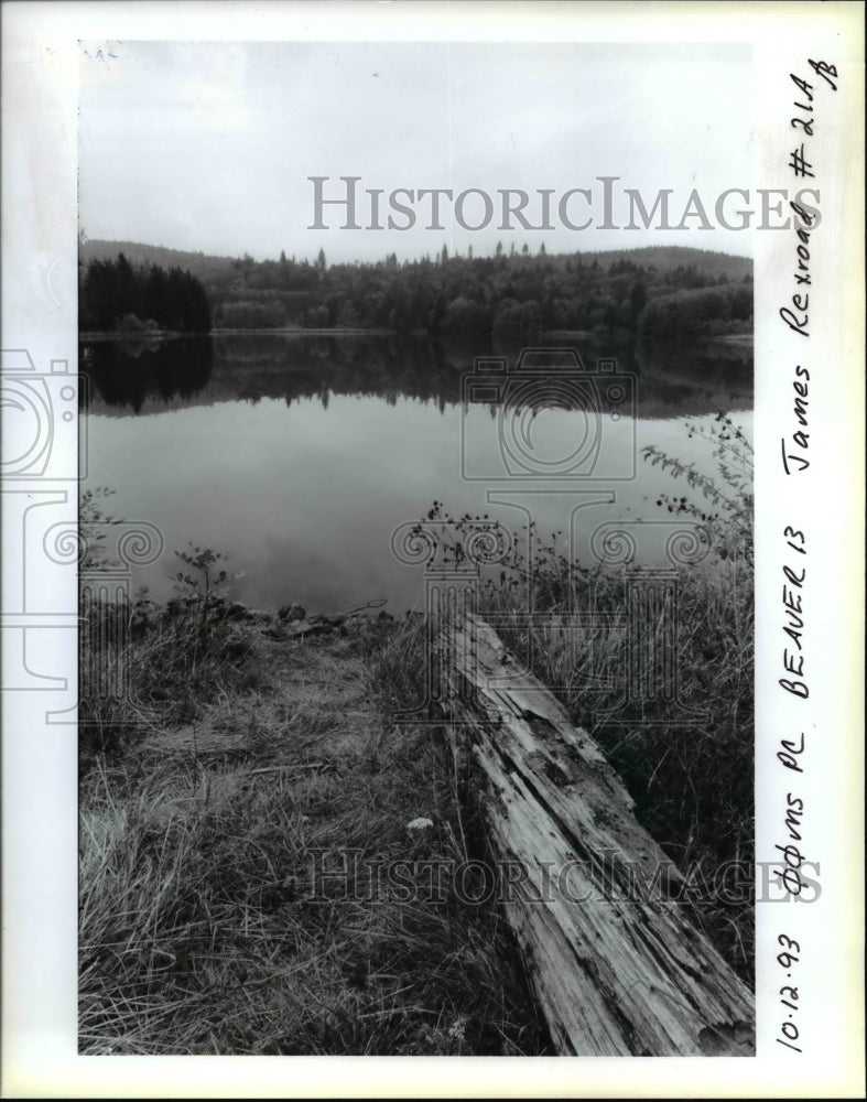 1993 Press Photo Beaver Lake - Doms PC Beaver 13 - orb22382- Historic Images