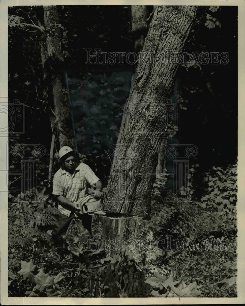 1958 Don Doetz clearing out his land with the use of his chain saw-Historic Images