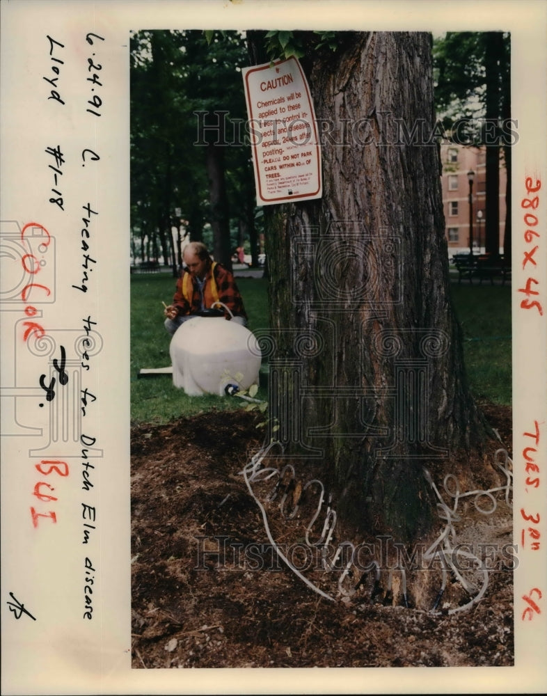 1991 Press Photo Tom Patterson inoculates an American elm in South Park Block- Historic Images