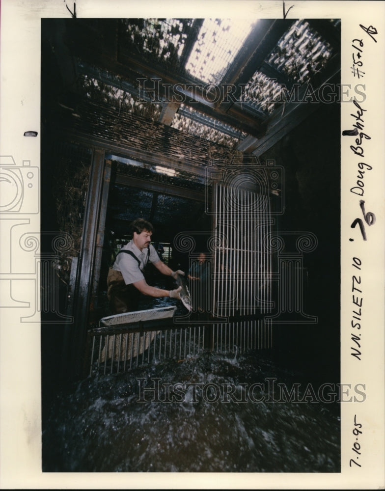1995 Press Photo Siletz River - orb55404- Historic Images