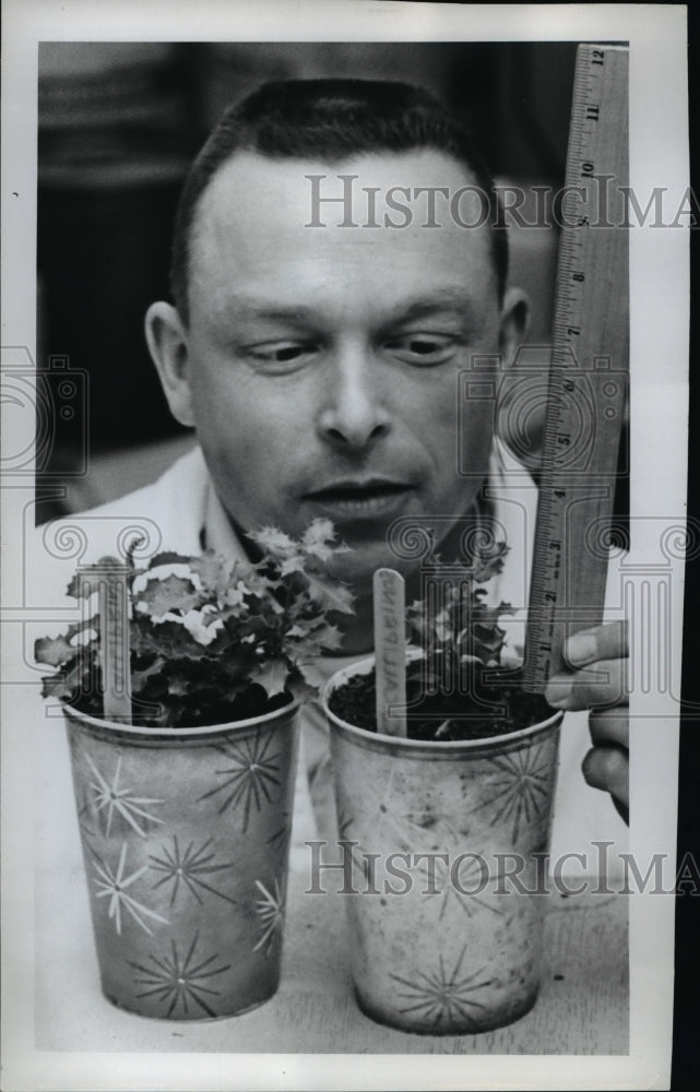 1968 James Edgren measures the Oak of Bashan - Historic Images