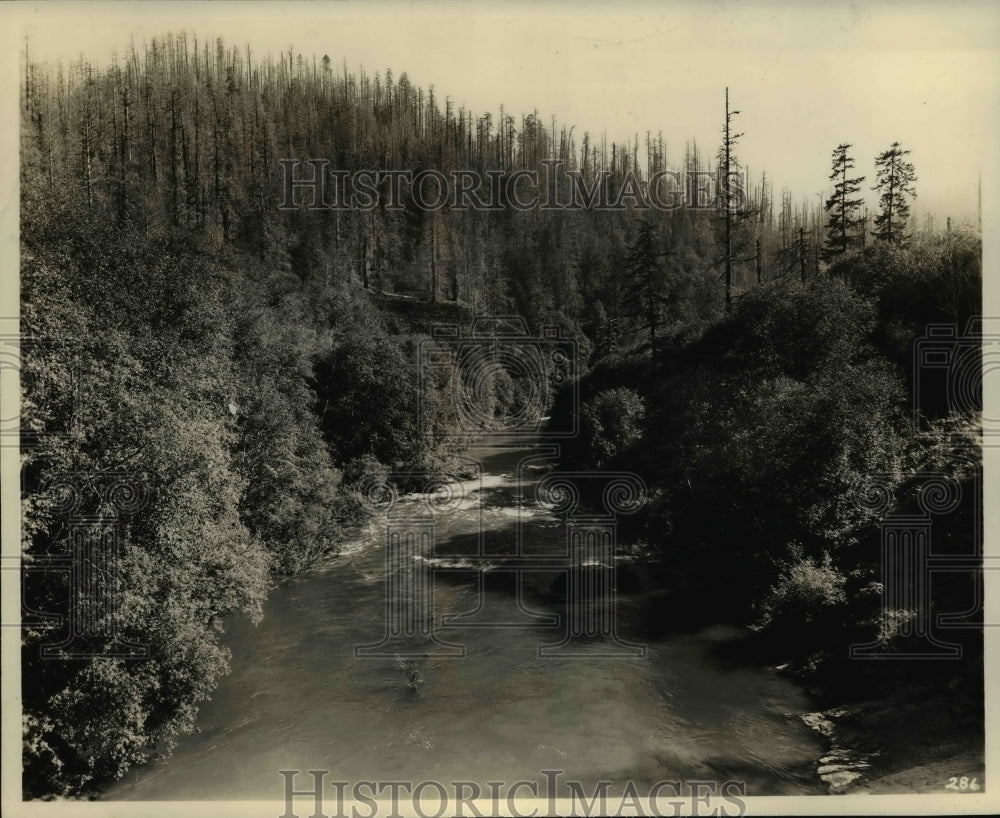 Wilson River-Historic Images