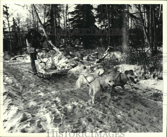 1981 Press Photo George Attla at World Championship Dog Sledding Race in Alaska - Historic Images