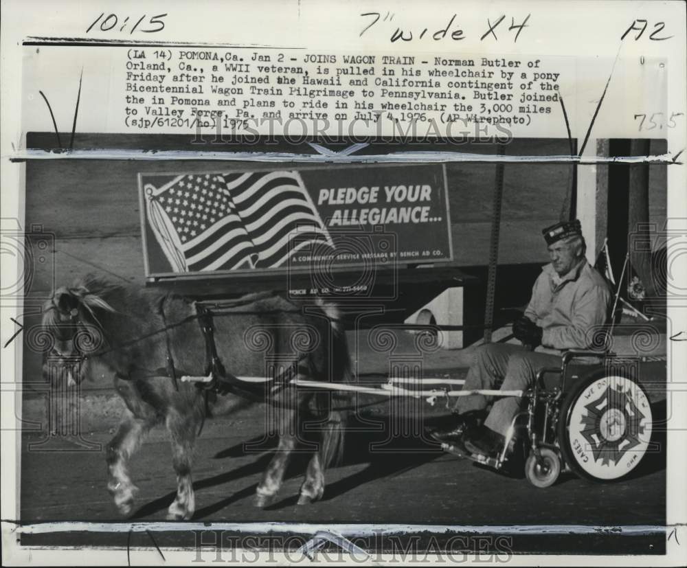 1975 Press Photo Veteran Norman Butler pulled by pony during Bicentennial in CA- Historic Images