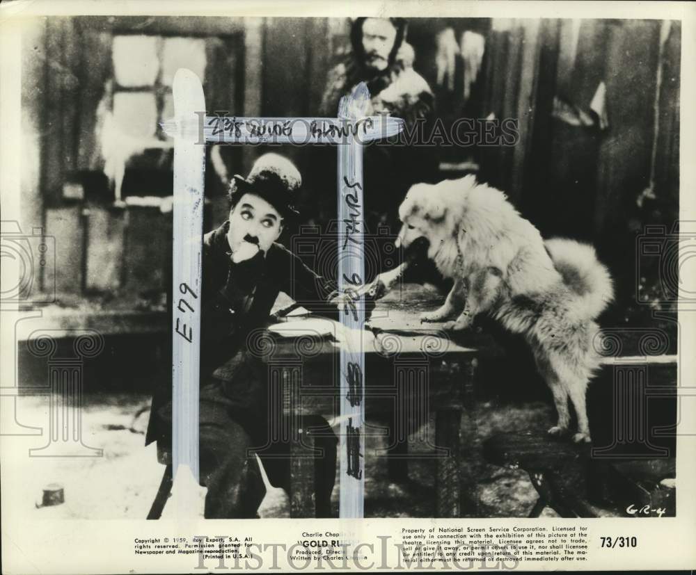 1959 Actor Charlie Chaplin &amp; a dog, &quot;Gold Rush&quot;-Historic Images