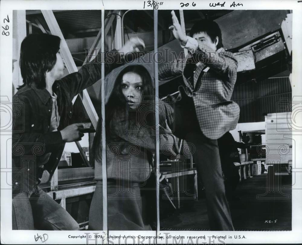 1975 Press Photo Actress Tiana in Scene from &quot;The Killer Elite&quot; - pio31331 - Historic Images