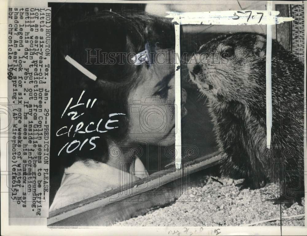 1969 Press Photo Doreen Coplin looks at pet groundhog &quot;Gillie&quot; at home in Texas - Historic Images