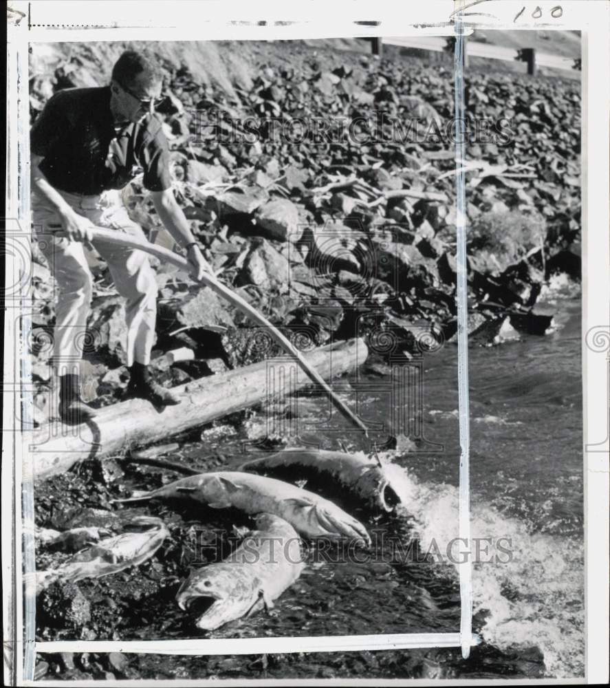 Products Tagged Fishing / Hunting / Skeet Shooting / Trapping Page 22 -  Historic Images