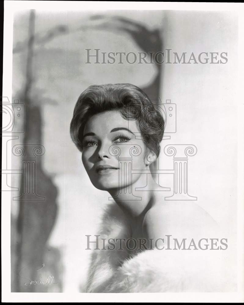 1964 Press Photo Kipp Hamilton plays the ingenue in &quot;How To Succeed In Business&quot; - Historic Images