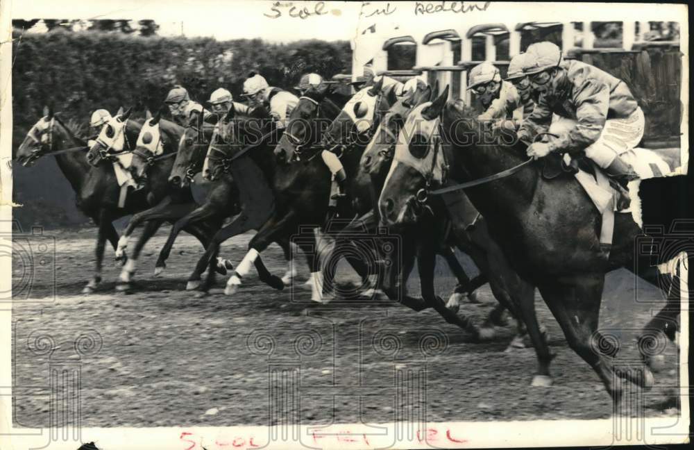 1958 Press Photo Field Of Horses Leave Starting Gate At Longacres Race Track- Historic Images