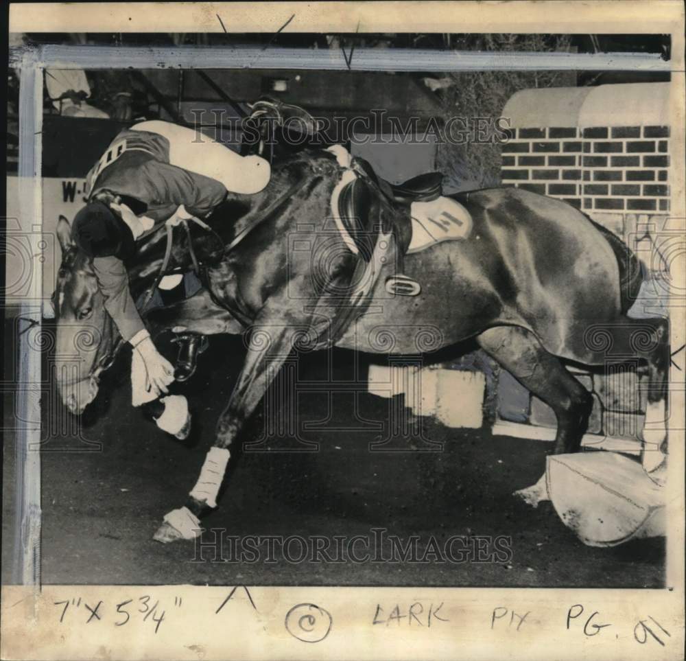 1967 Press Photo Barbara Simpson flew out the saddle - pis01288- Historic Images