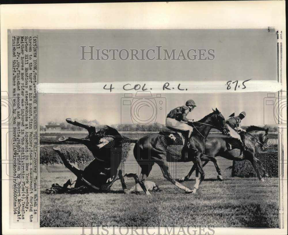 1964 Press Photo Thomas Walsh &amp; horse Sinn Feiner fall to turf, steeplechase, NY- Historic Images