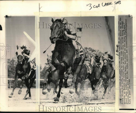 1964 Press Photo Jockeys aboard horses, Atlantic City track race, NJ - pis01302 - Historic Images