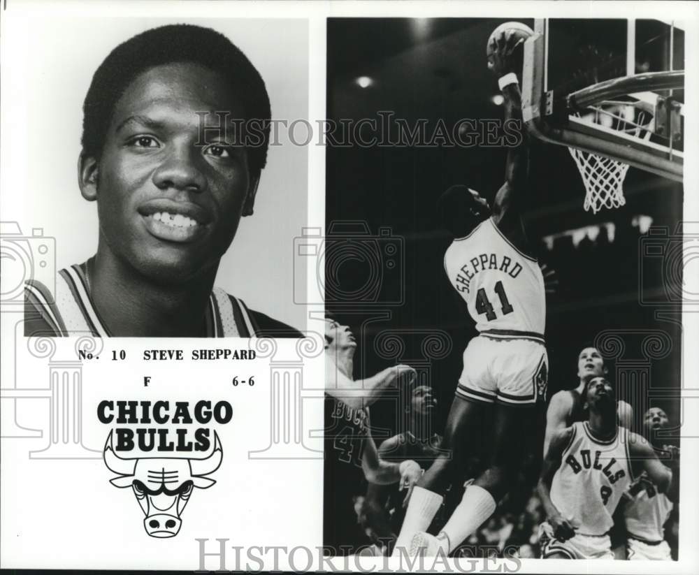 1978 Press Photo Chicago Bulls&#39; forward Steve Sheppard - pis02692 - Historic Images