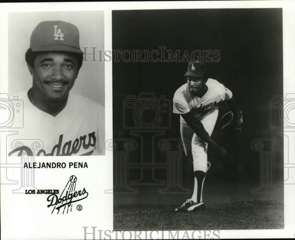 1983 Press Photo Los Angeles Dodgers baseball player Alejandro Pena - pis03686- Historic Images
