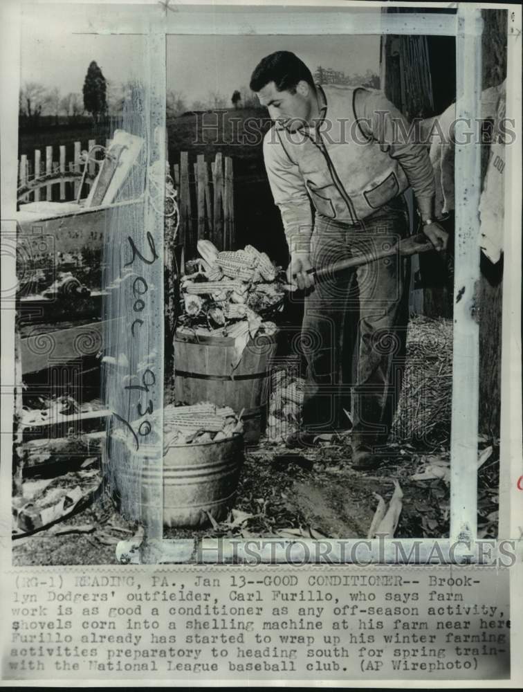 1955 Press Photo Dodgers baseball player Carl Furillo at his farm, Reading, PA- Historic Images