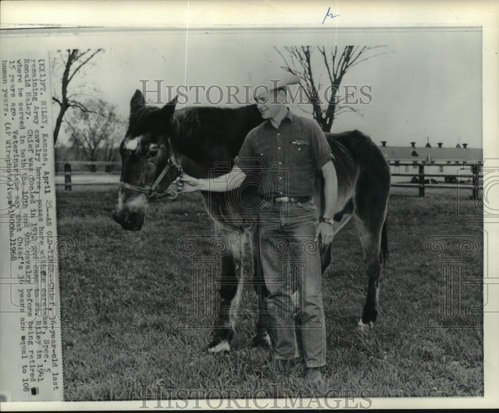 1968 Army cavalry horse Chief with caretaker Ronald Haley, Kansas-Historic Images