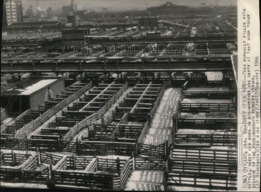 1946 Pens are empty because of packinghouse workers strike, Chicago - Historic Images