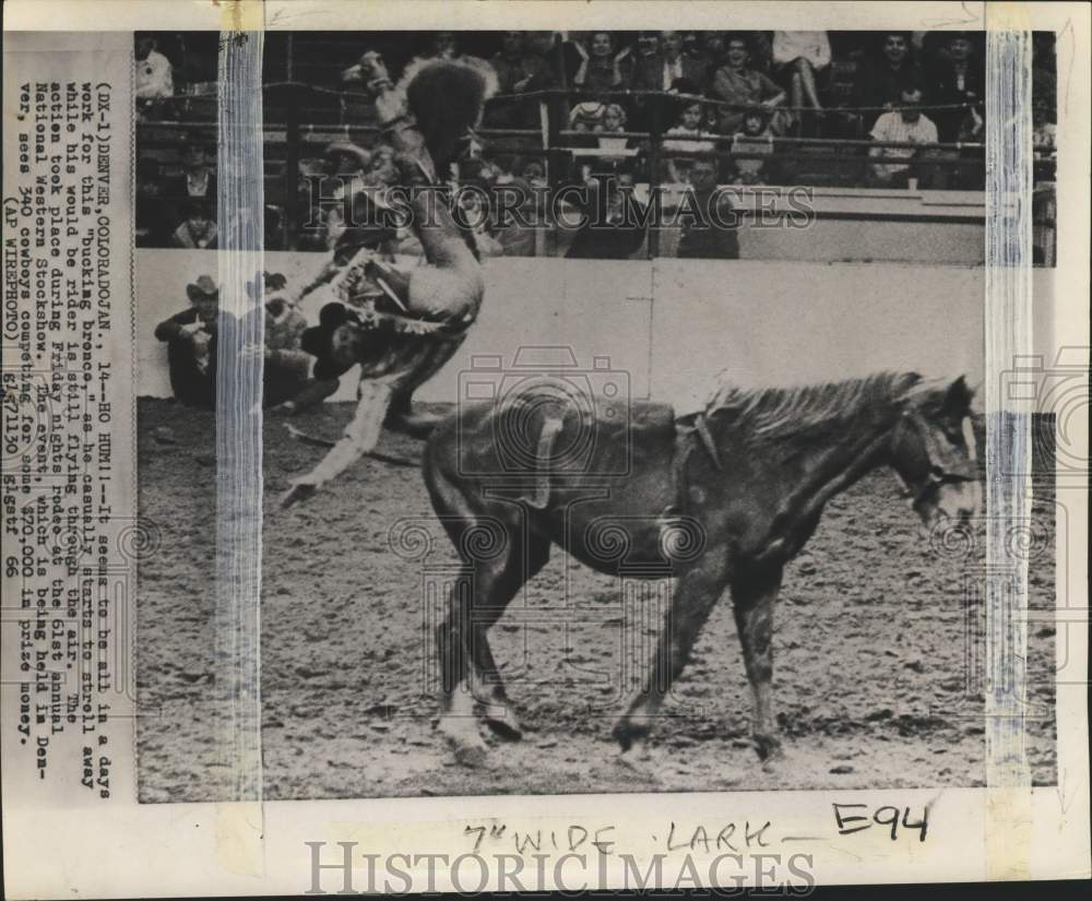 1966 Rider flies away from the bronco during a rodeo show, Denver - Historic Images