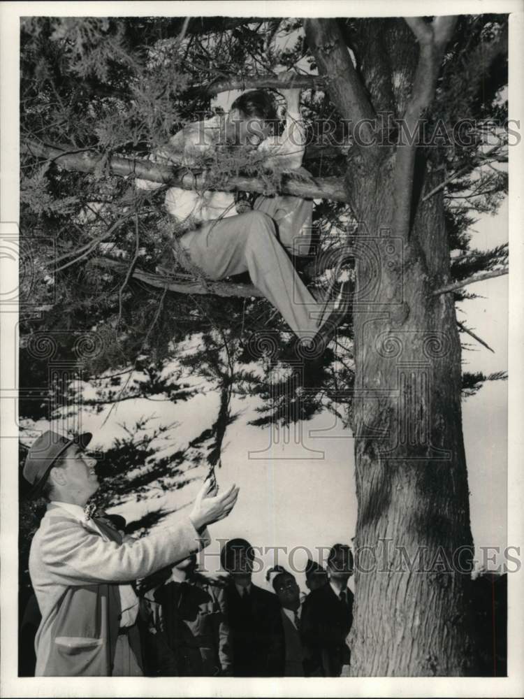 1944 Press Photo Frank Ryan stands ready below Golfer Jim Ferrier in a tree, CA - Historic Images