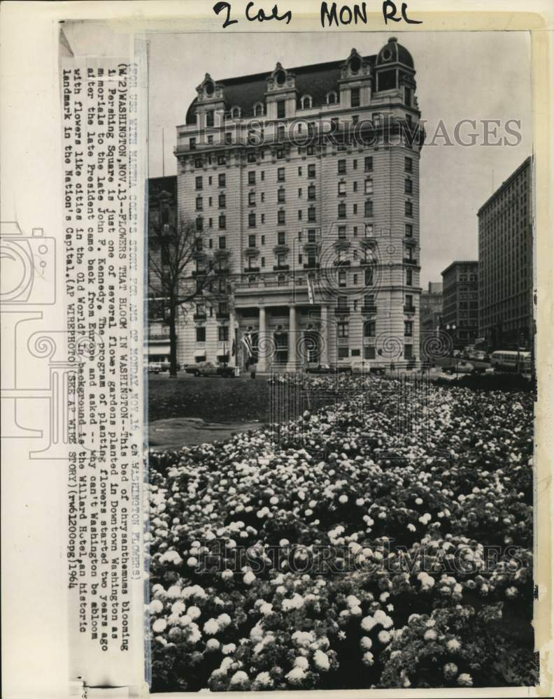 1964 Chrysanthemums in Pershing Square near Willard Hotel, DC-Historic Images