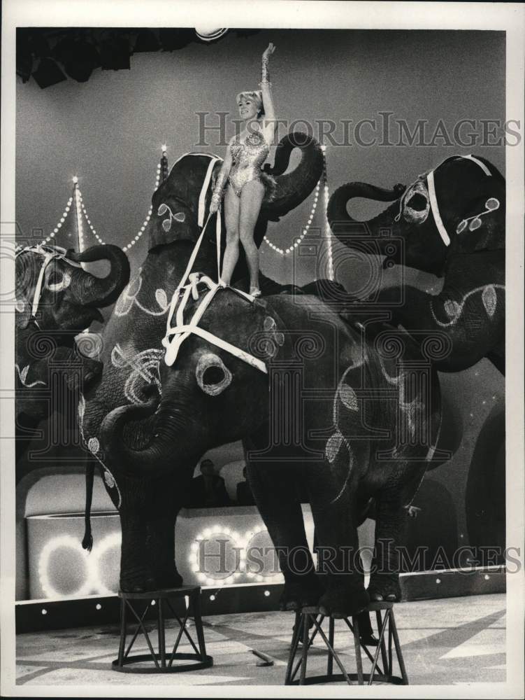 1967 Press Photo Ava Williams performs with elephants on TV show &quot;Coliseum&quot;- Historic Images