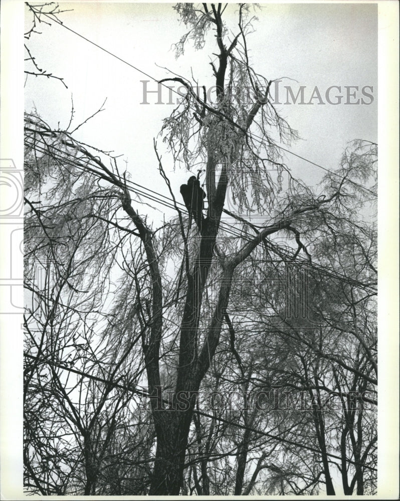 1985 Ice Storm - Historic Images