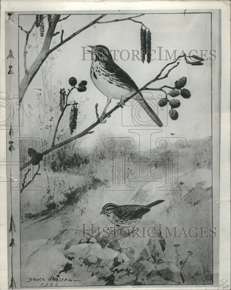 1933 Song of Sparrow painting - Historic Images