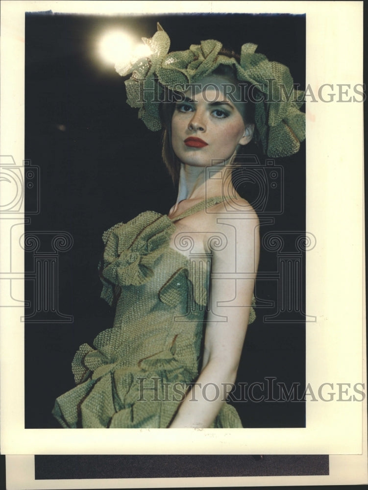 1993 Art Institute Jennifer Dahlmann Design - Historic Images