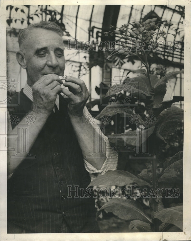 1939 Tobacco Exhibit Garfield Park - Historic Images