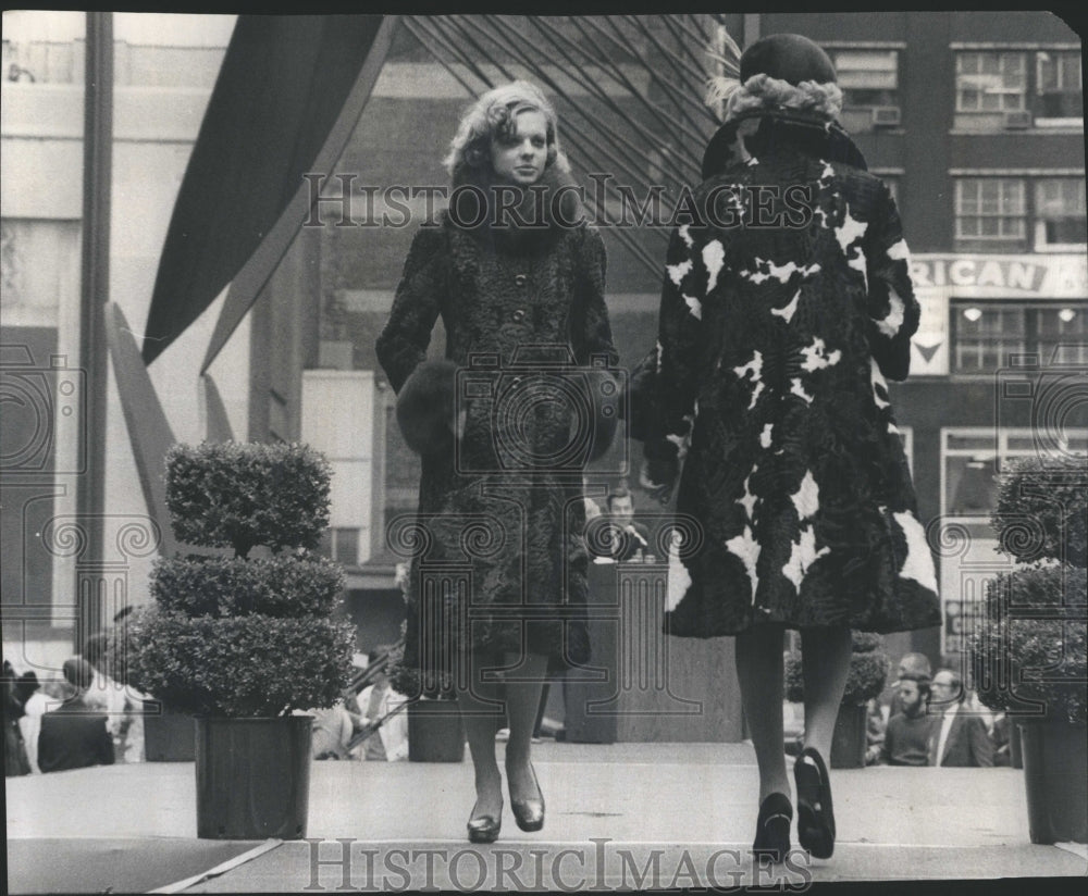 1974 Chicago Look Show Fur - Historic Images
